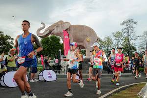 BIB: 
                            <button type="button" onclick="openModal(26528290)" class="btn btn-primary btn-sm float-right btn-popup" data-toggle="modal" data-target=".modal-high-quality">
                        <i class="fas fa-shopping-cart"></i> Add to Cart
                    </button>
                                            <button type="button" onclick="isThisMe(26528290, true)" class="btn btn-success btn-sm float-right btn-popup btn-isme hidden" data-toggle="tooltip" data-placement="bottom" title="นี่คือรูปของคุณใช่ไหม คลิกที่นี่เพื่อเอาเข้าอัลบั้ม">
                        <i class="fas fa-plus"></i> Add to album
                    </button>
                    <button type="button" onclick="isThisMe(26528290, false)" class="btn btn-warning btn-sm float-right btn-popup btn-isnotme hidden">
                        <i class="fas fa-ban"></i> Remove from album
                    </button>